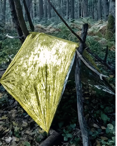 Wild Survival fond survie jungle